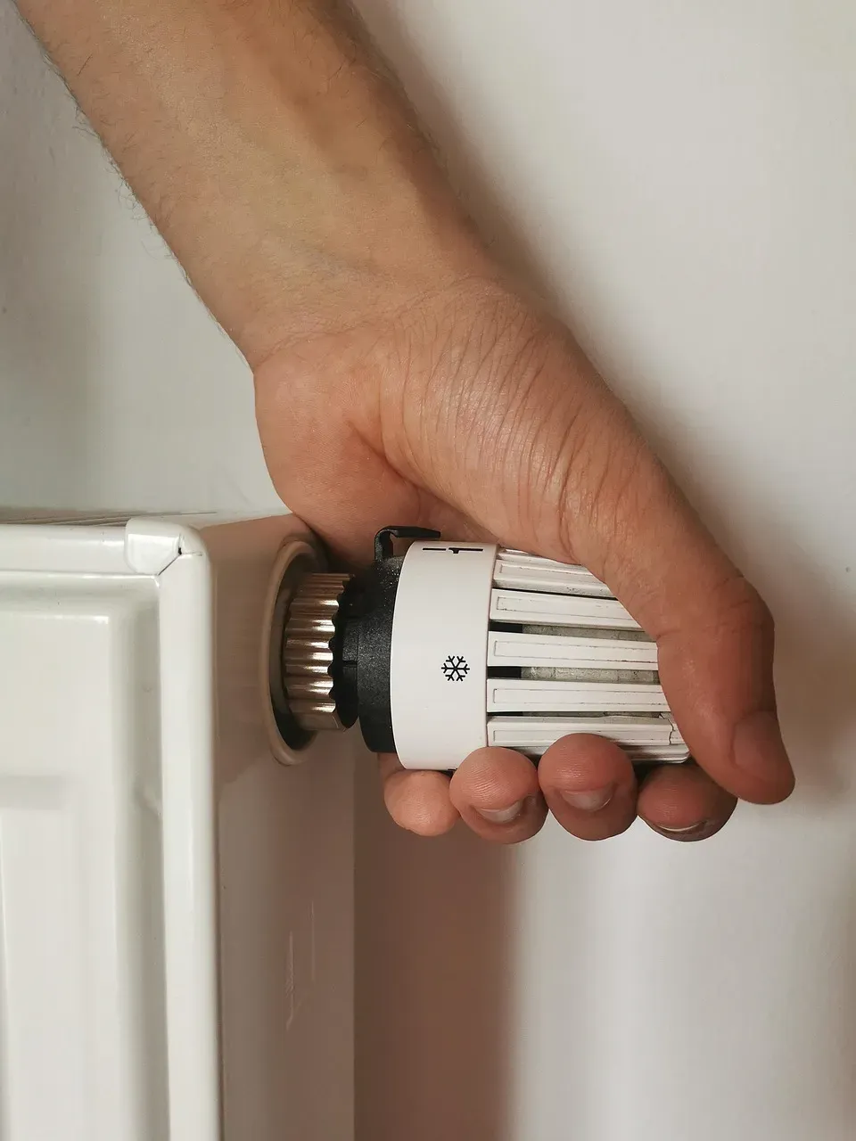 6. Skipping Energy Efficiency Upgrades (Image Credits: Pixabay)