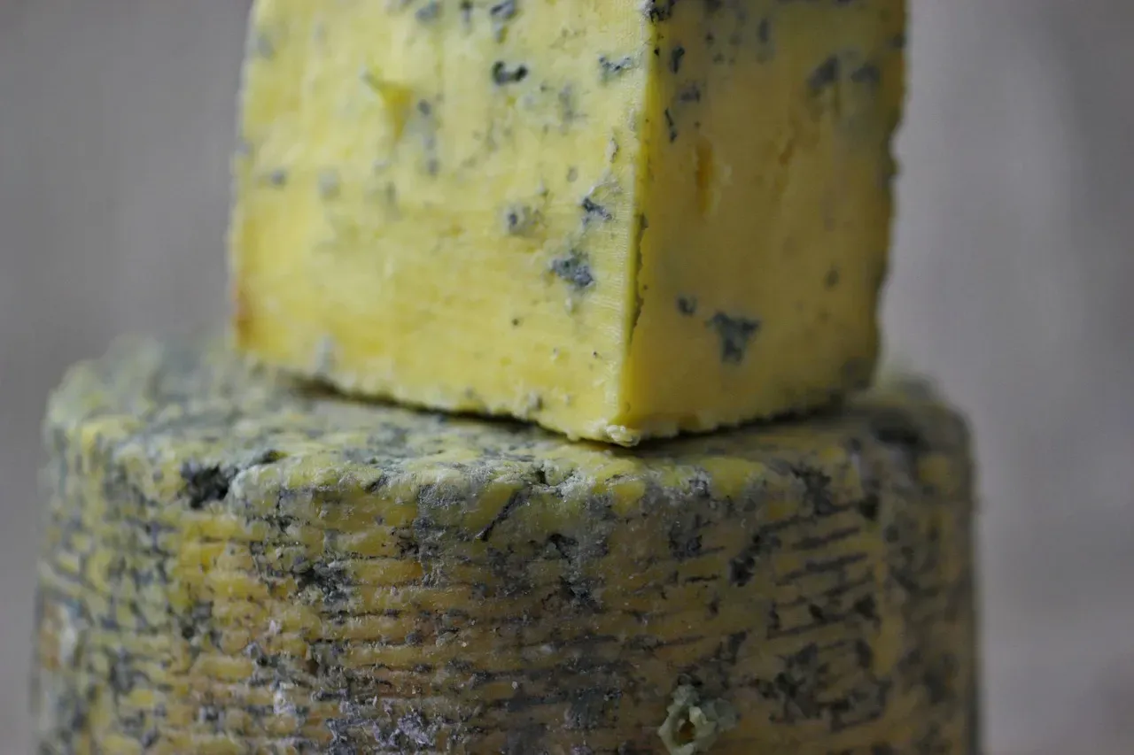 2. Hard Cheese: Mold on the Outside Isn't the End (Image Credits: Pixabay)