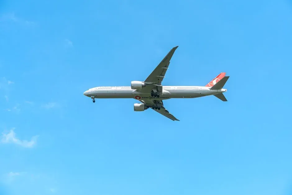Why frequent flyers tell a different story (Image Credits: Pexels)