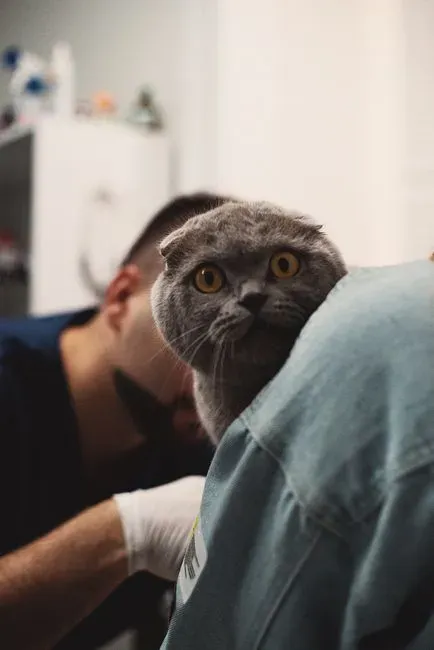 The Behavior Signals Veterinarians Watch For (Image Credits: Pexels)