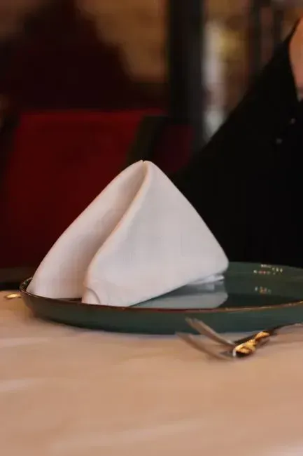 1. Snapping or Shaking the Napkin Open Dramatically (Image Credits: Pexels)