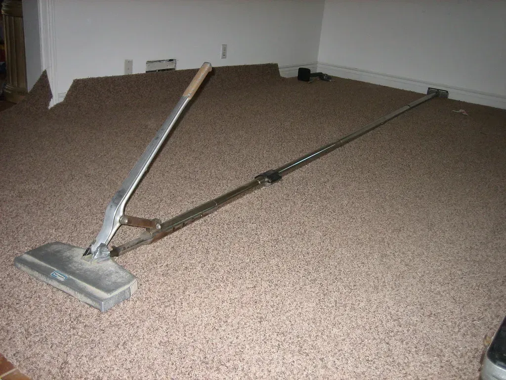 10. New Wall to Wall Carpet (nim, Flickr, CC BY-SA 2.0)