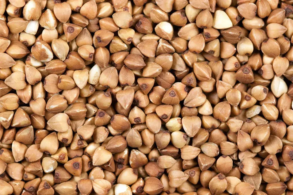 Buckwheat (Ervins Strauhmanis, Flickr, CC BY 2.0)