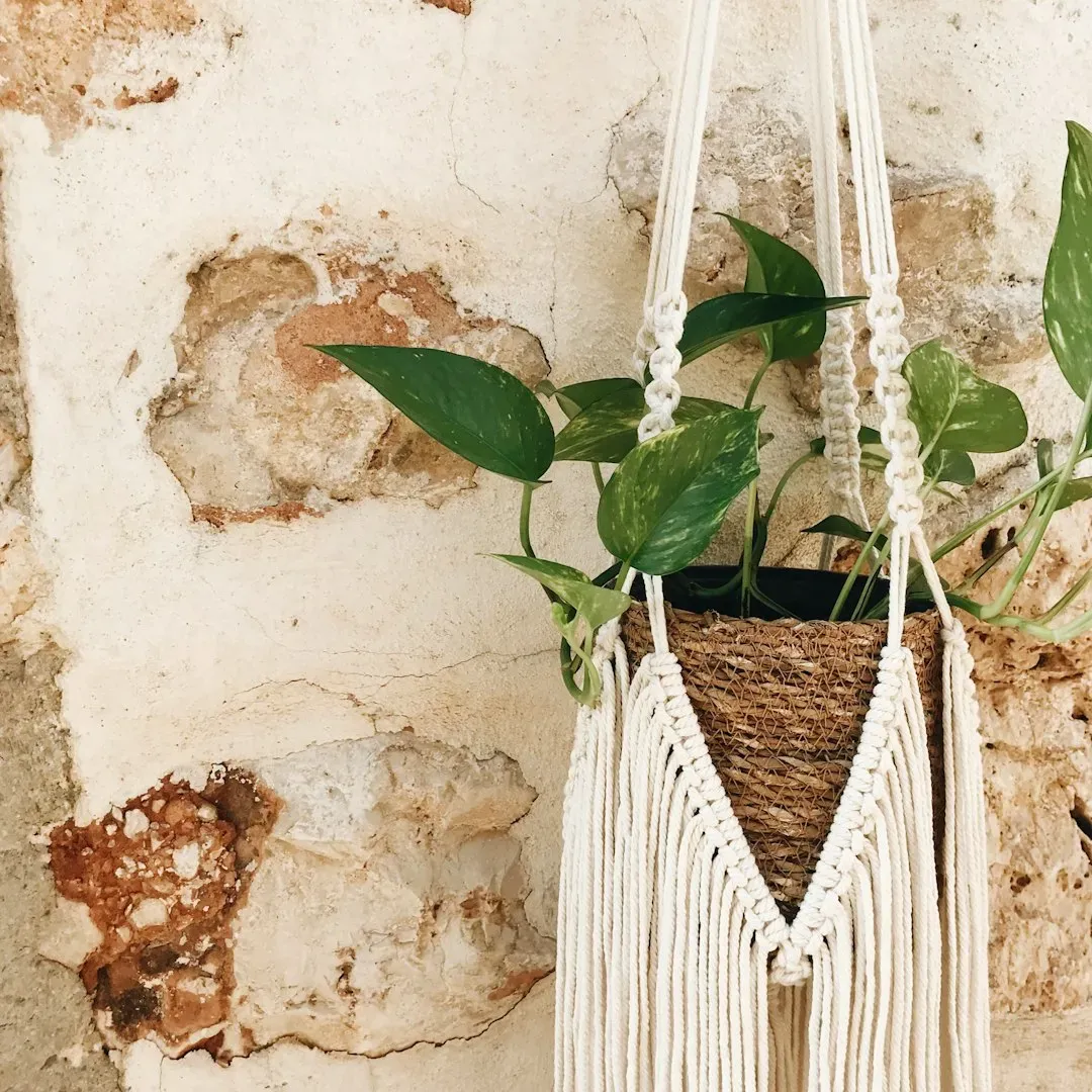 Macrame Plant Hangers (Image Credits: Unsplash)