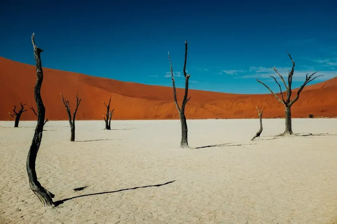 Namibia: Wide open spaces, low levels of conflict (Image Credits: Unsplash)