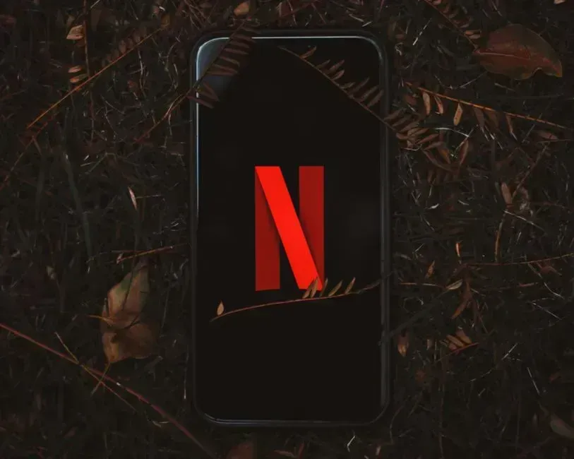Netflix (Image Credits: Pexels)