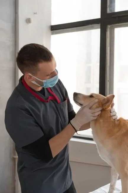 6. No pet insurance policy, but a well-worn number for the local vet (Image Credits: Pexels)
