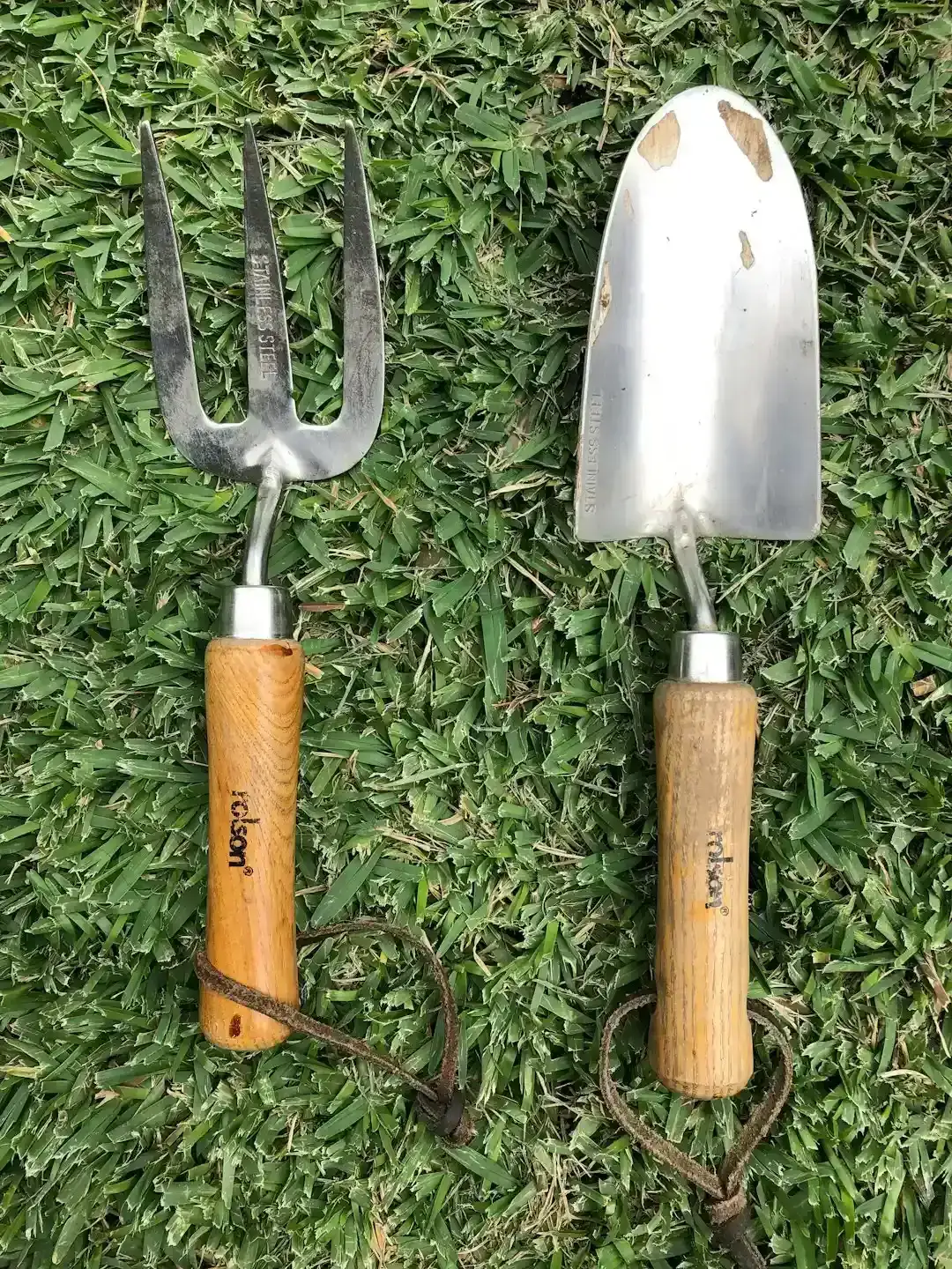 6. Tools, gardening equipment, and workshop items (Image Credits: Unsplash)
