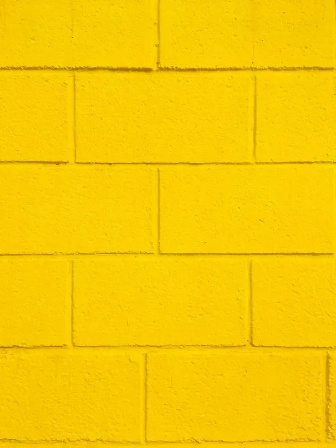 7. Mustard Yellow (Image Credits: Unsplash)