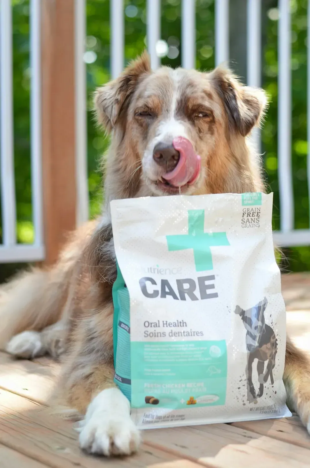 2. Scooping kibble from a giant bag in the garage (Image Credits: Unsplash)