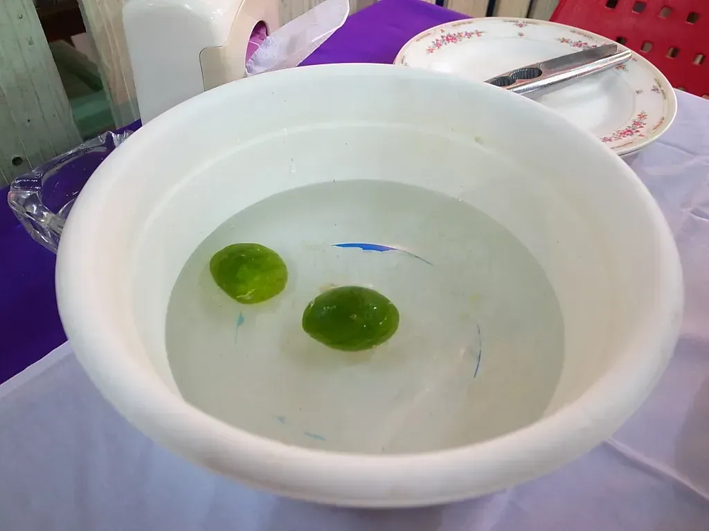 The Ritual Use of Finger Bowls Between Courses (GinkgoTelegraph, Flickr, CC BY-SA 2.0)