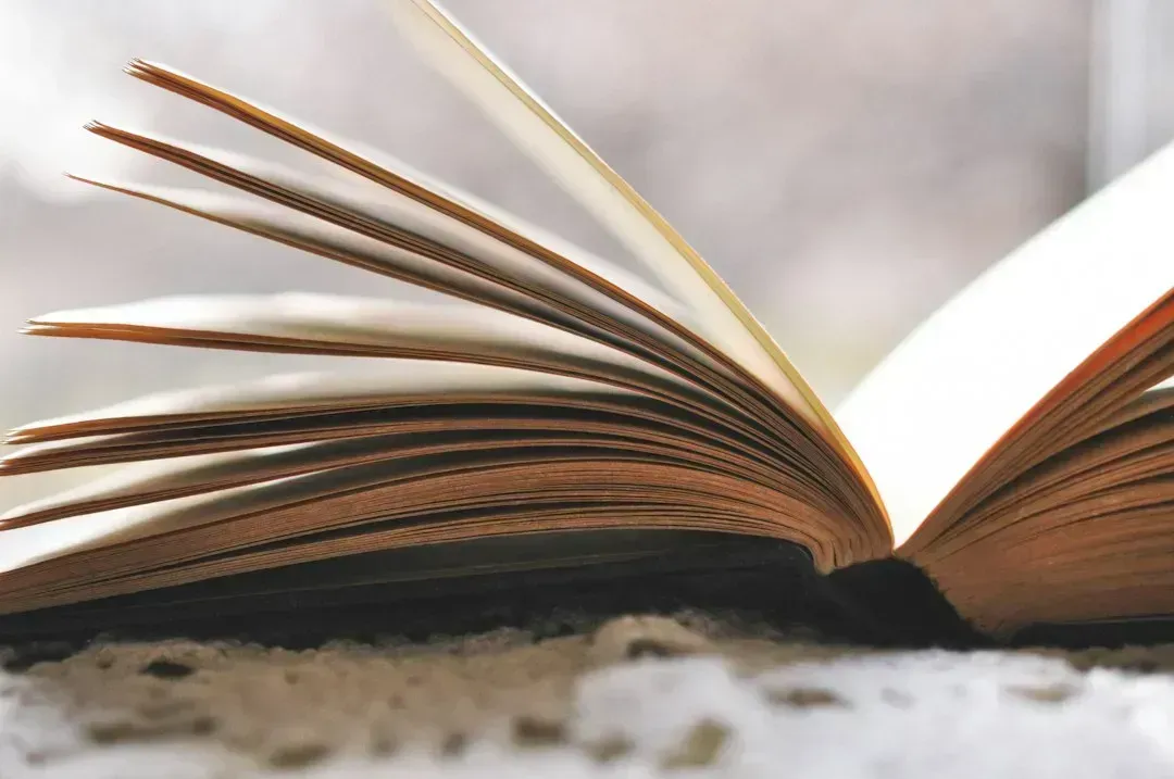 3. Reading and Joining a Book Club (Image Credits: Unsplash)