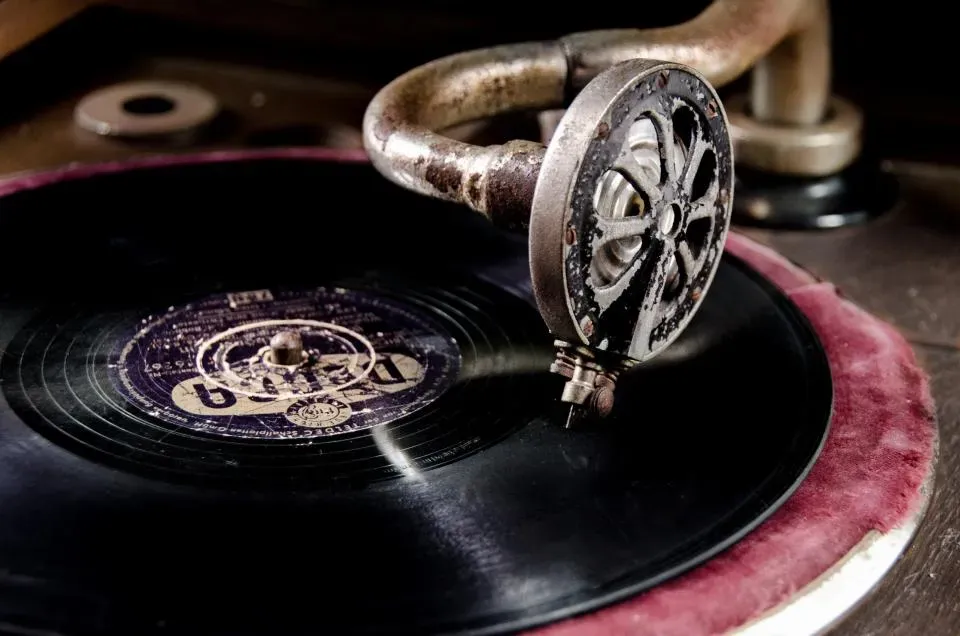 9. Vinyl Records (Image Credits: Stocksnap)