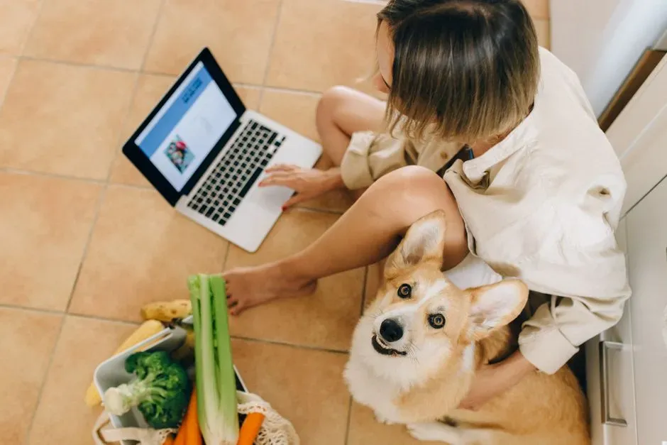 3. Treating pet food as an afterthought grocery item (Image Credits: Pexels)