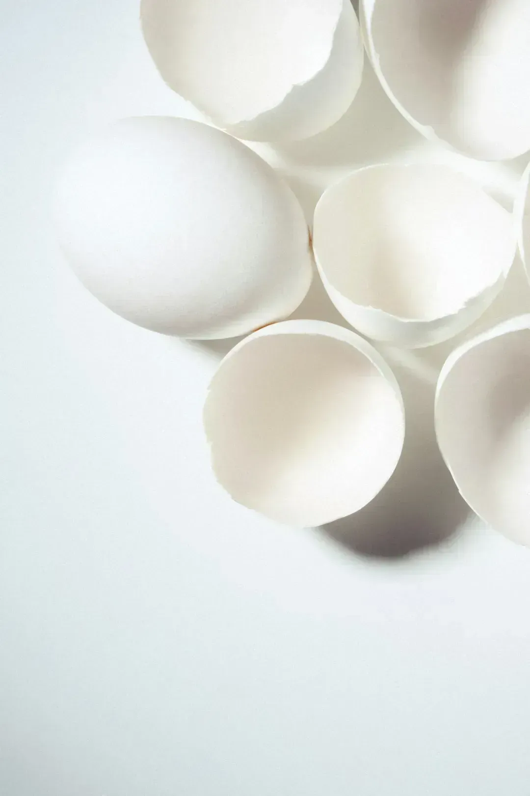 5. Eggshells (Image Credits: Unsplash)