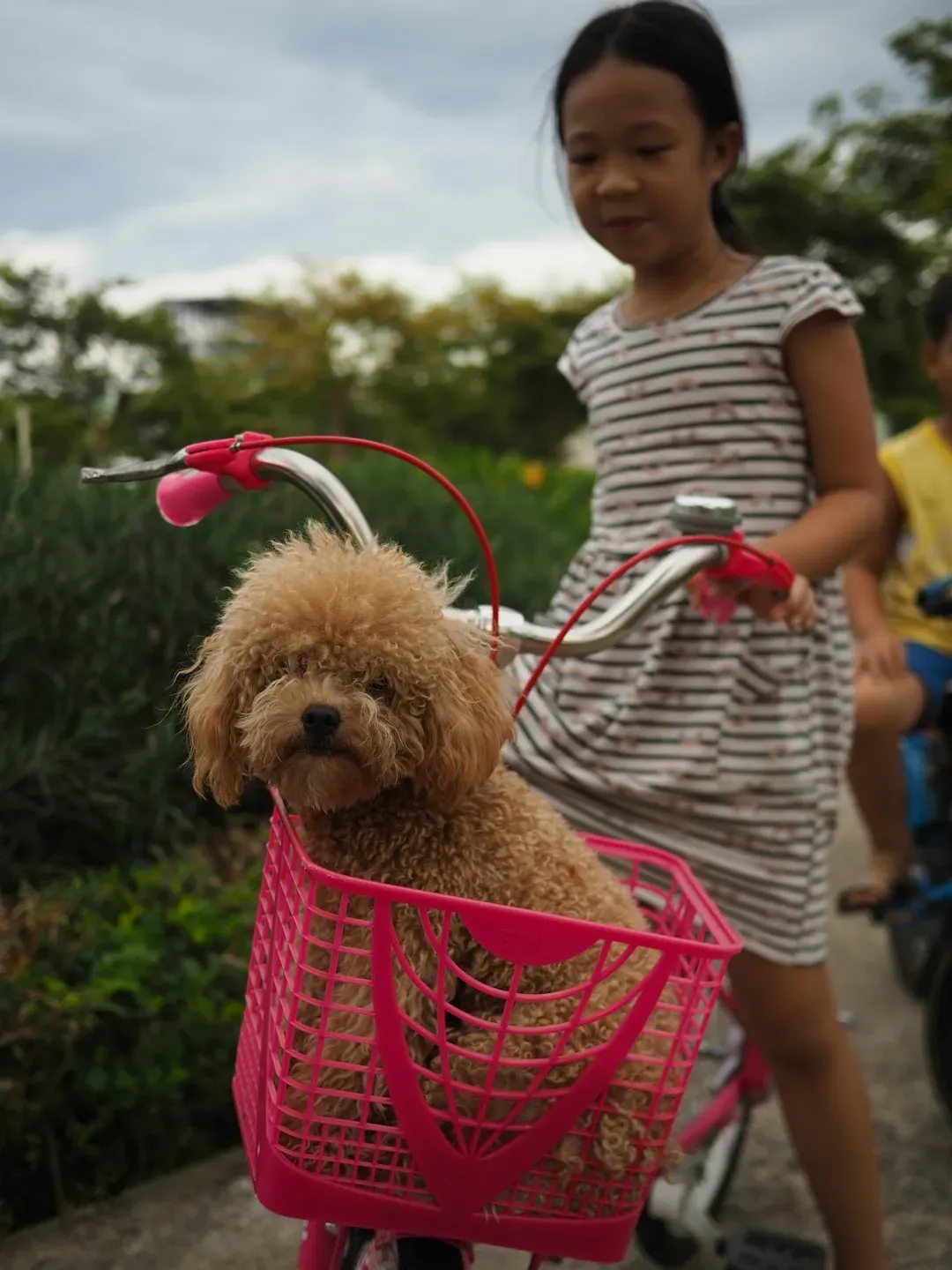 8. The Sound and Sight of Children and Pets Outside (Image Credits: Unsplash)