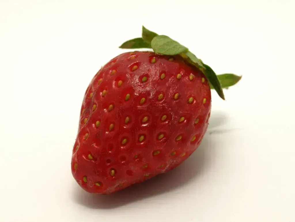 Overripe Fruit (Image Credits: Flickr)