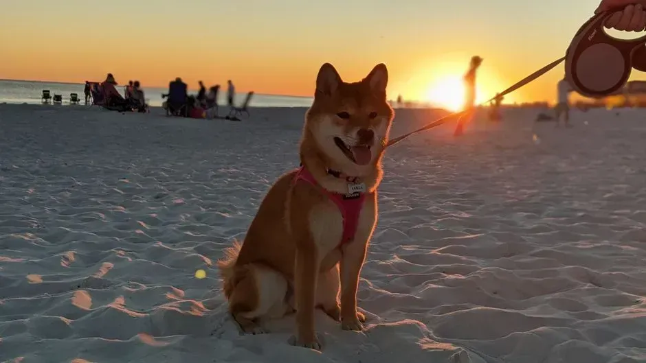 3. Florida (Image Credits: Pexels)
