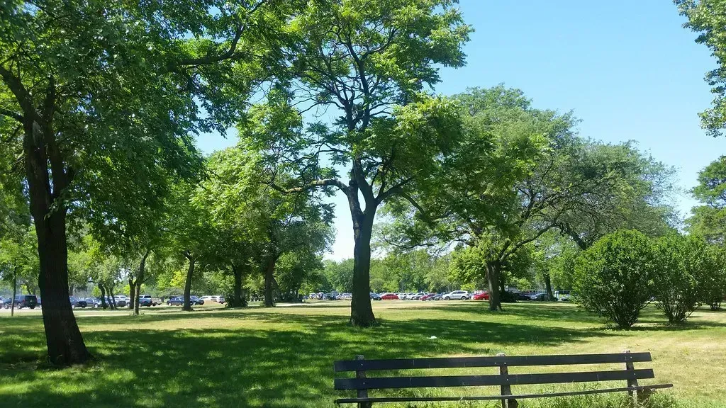 4. Washington Park, Chicago - 701% Above the Norm (Joe Passe, Flickr, CC BY-SA 2.0)