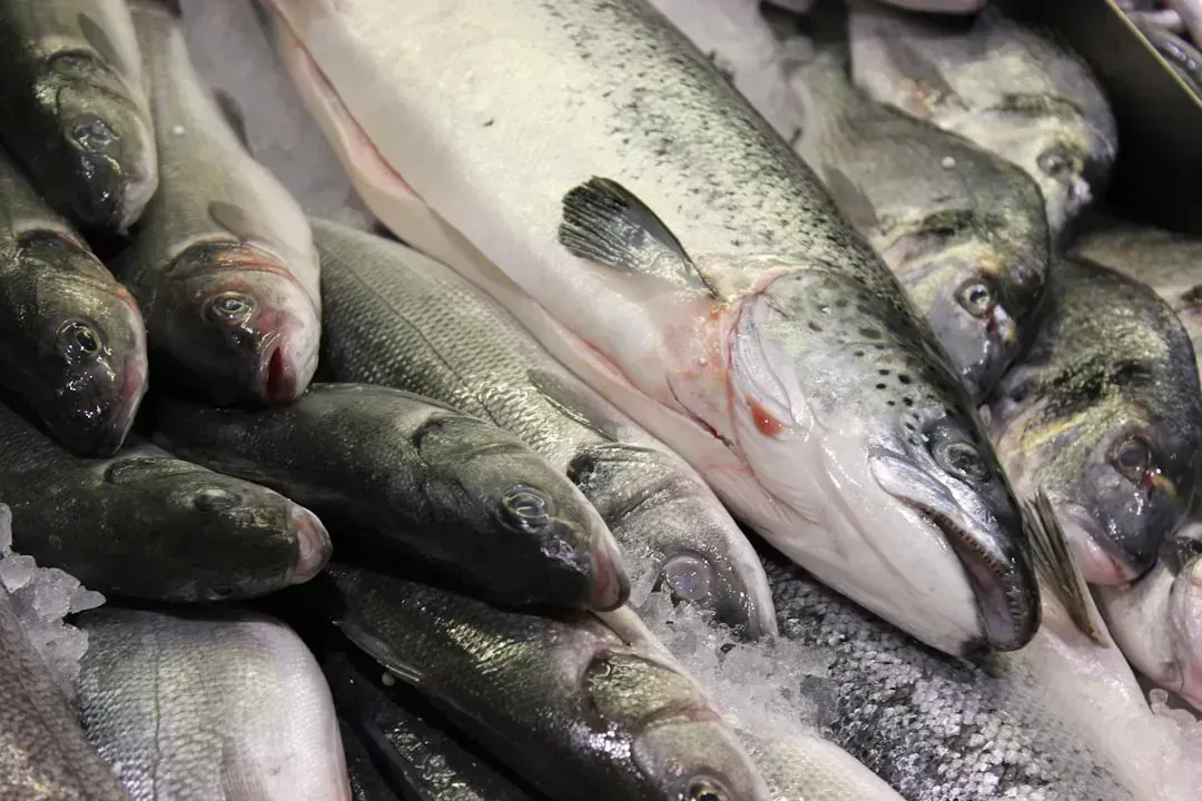 4. The "Catch of the Day" Smells Fishy (Image Credits: Unsplash)