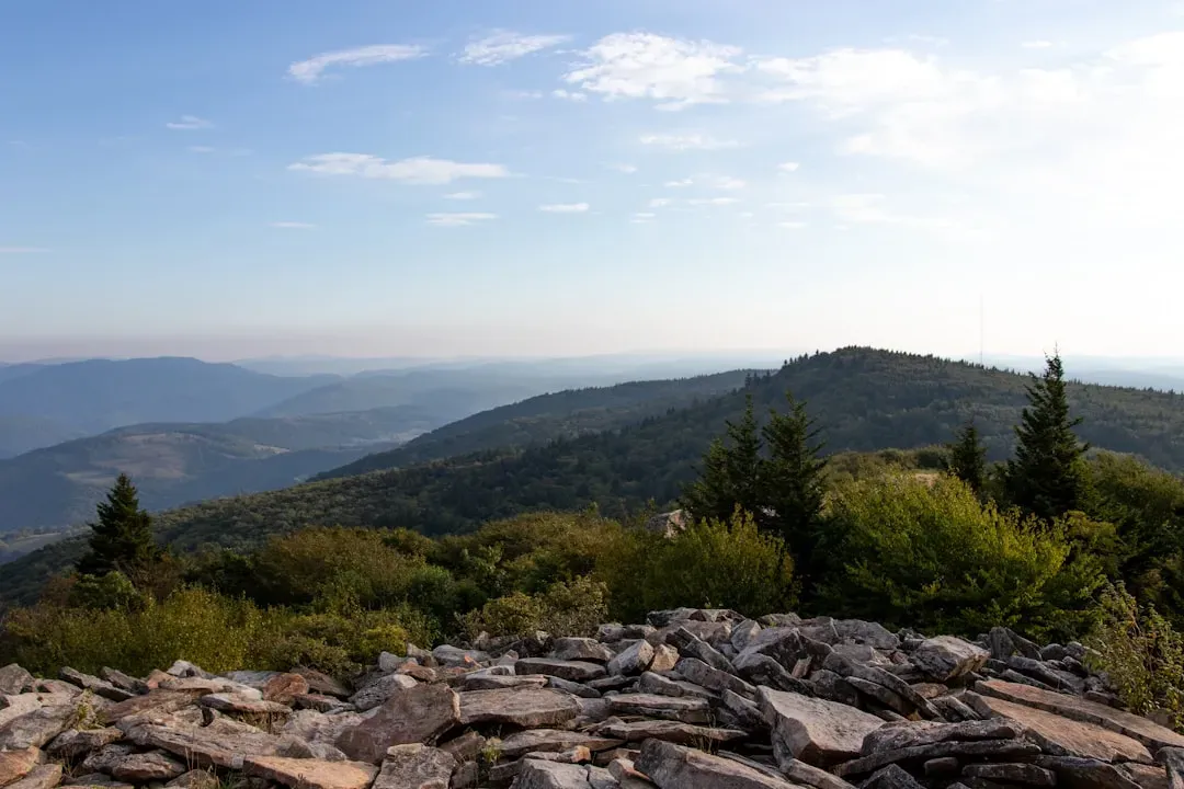 West Virginia (Image Credits: Unsplash)