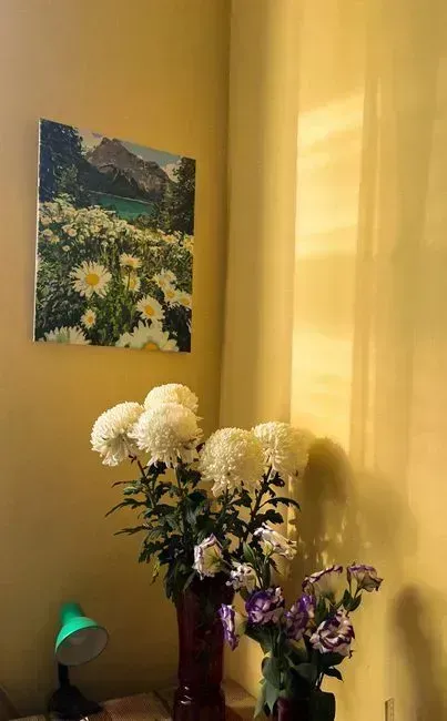 8. Daisy Yellow (Image Credits: Pexels)