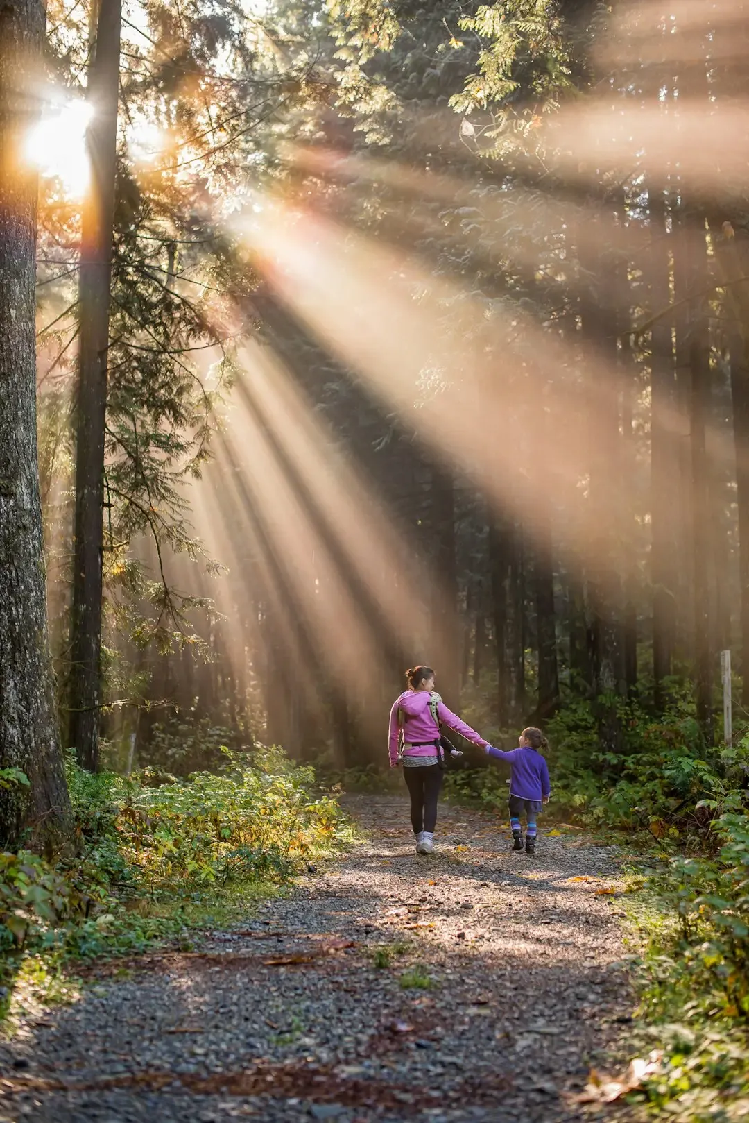 A Short Walk Outside (Image Credits: Unsplash)