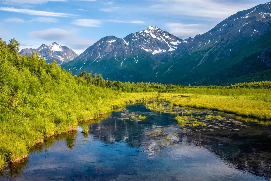 The Unexpected Wild Cards: Alaska, Delaware, and What's Coming Next (Image Credits: Pexels)