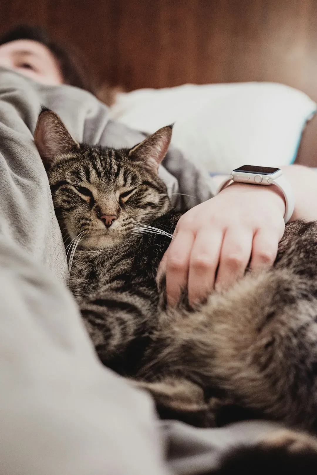 Your Body Heat Is a Big Part of the Appeal (Image Credits: Unsplash)