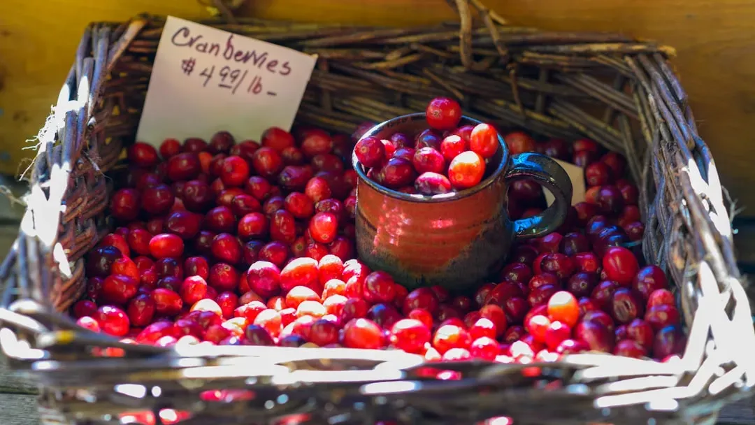 6. Cranberry Sauce (Image Credits: Unsplash)