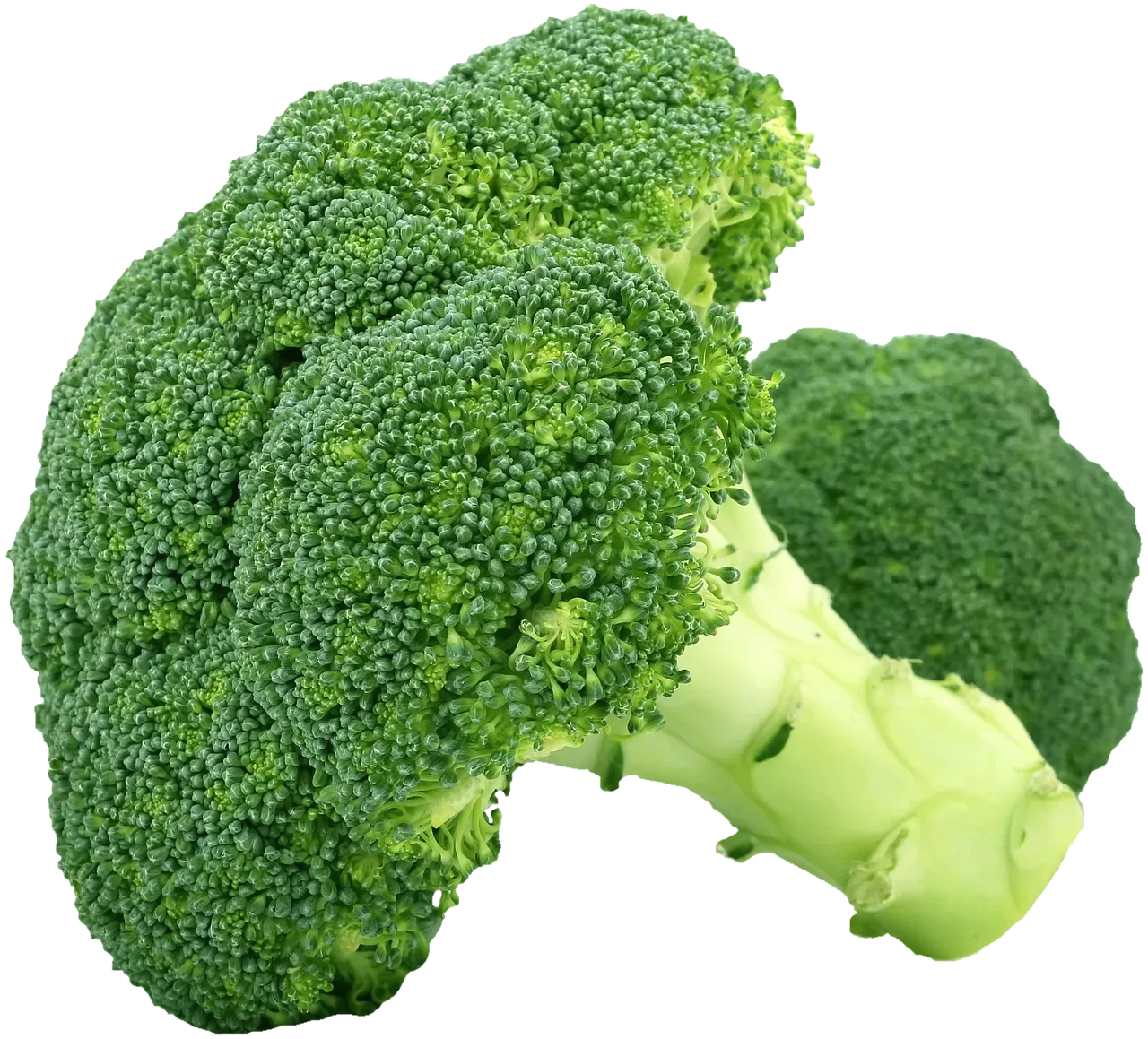 1. Broccoli (Image Credits: Pixabay)