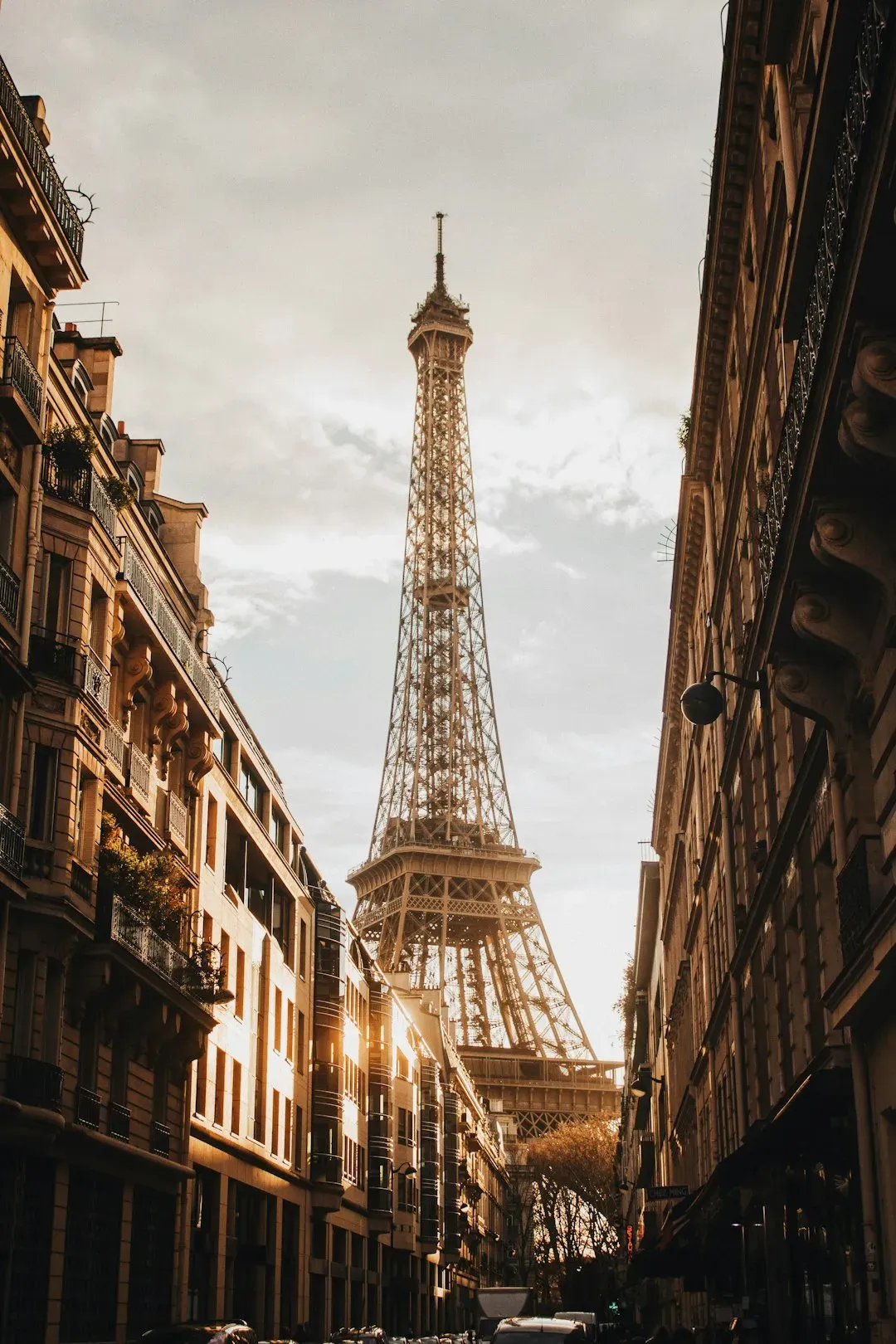 Final thoughts (Image Credits: Unsplash)