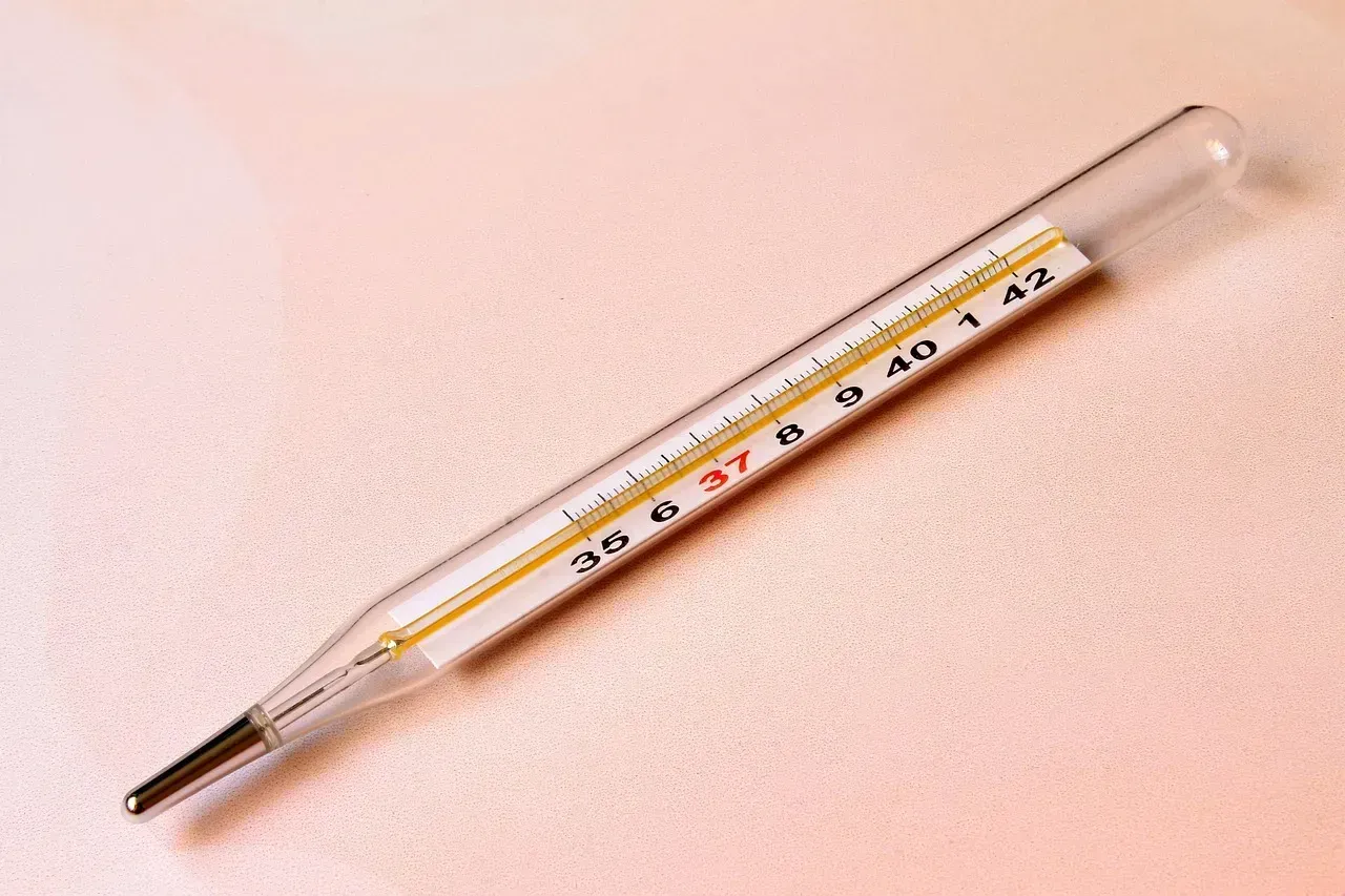 4. Mercury Glass Fever Thermometers (Image Credits: Pixabay)