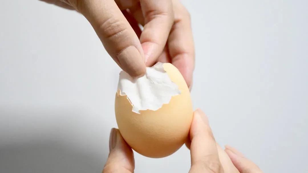 The Real Culprit Is Not the Shell - It's the Membrane (Image Credits: Unsplash)