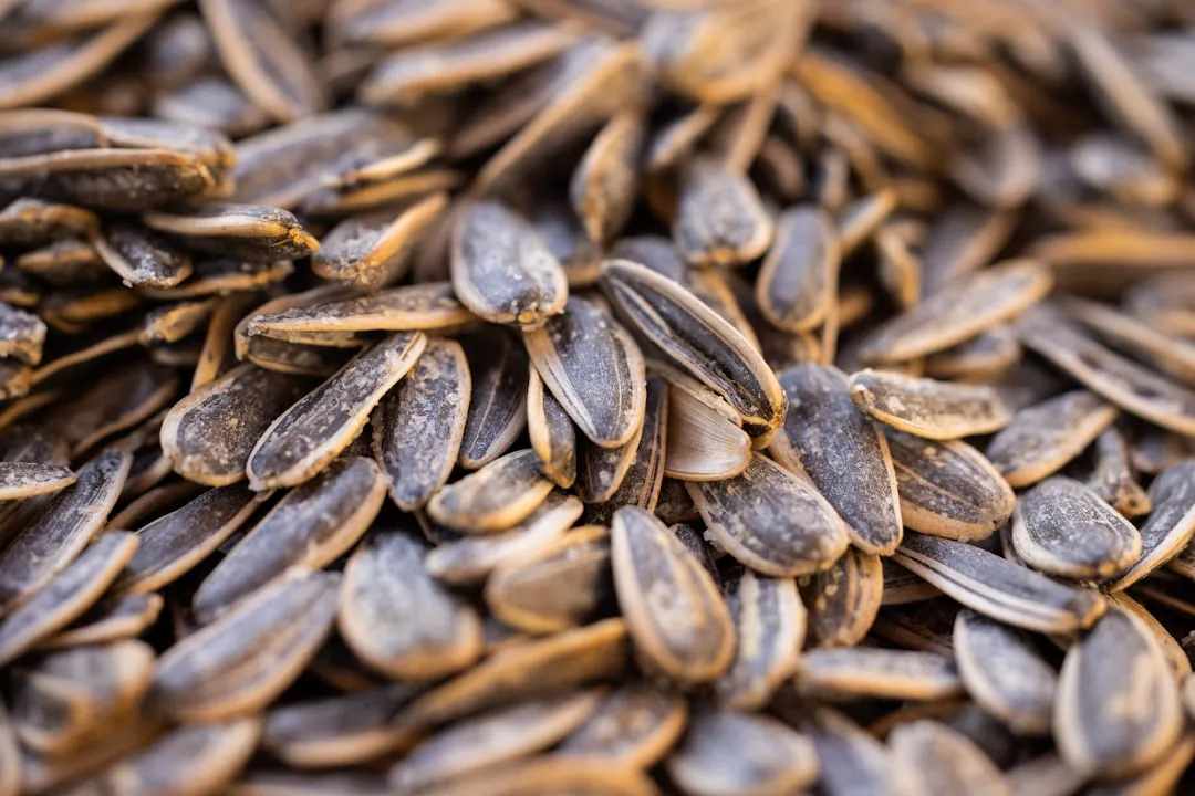 3. Sunflower Seeds in the Shell (Image Credits: Unsplash)