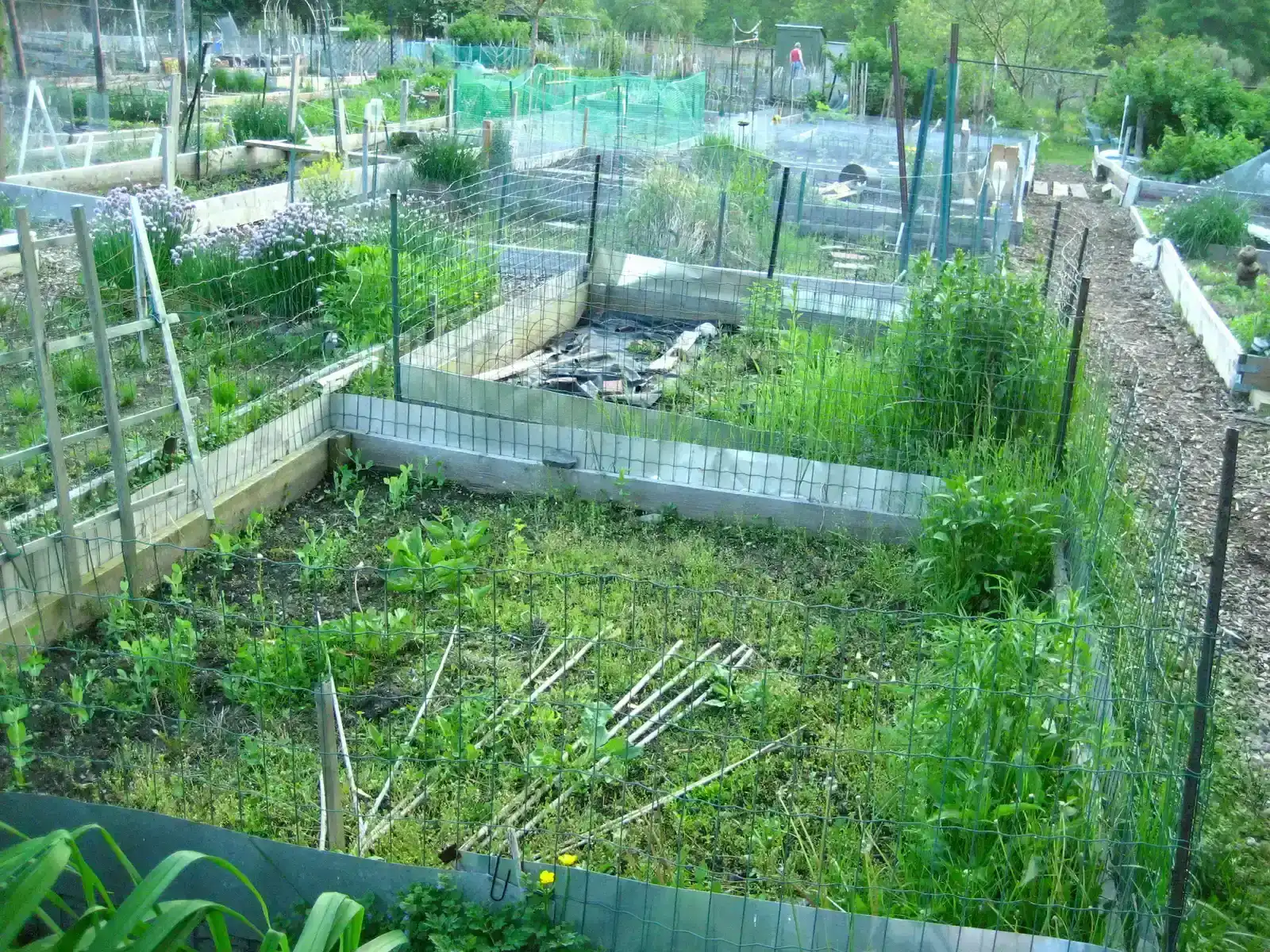 6. Washington, D.C. (community gardens boston, CC BY 2.0)