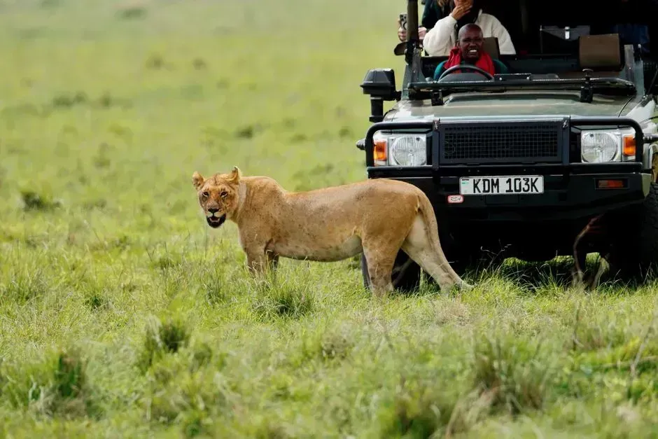 9. Kenya (Image Credits: Pexels)