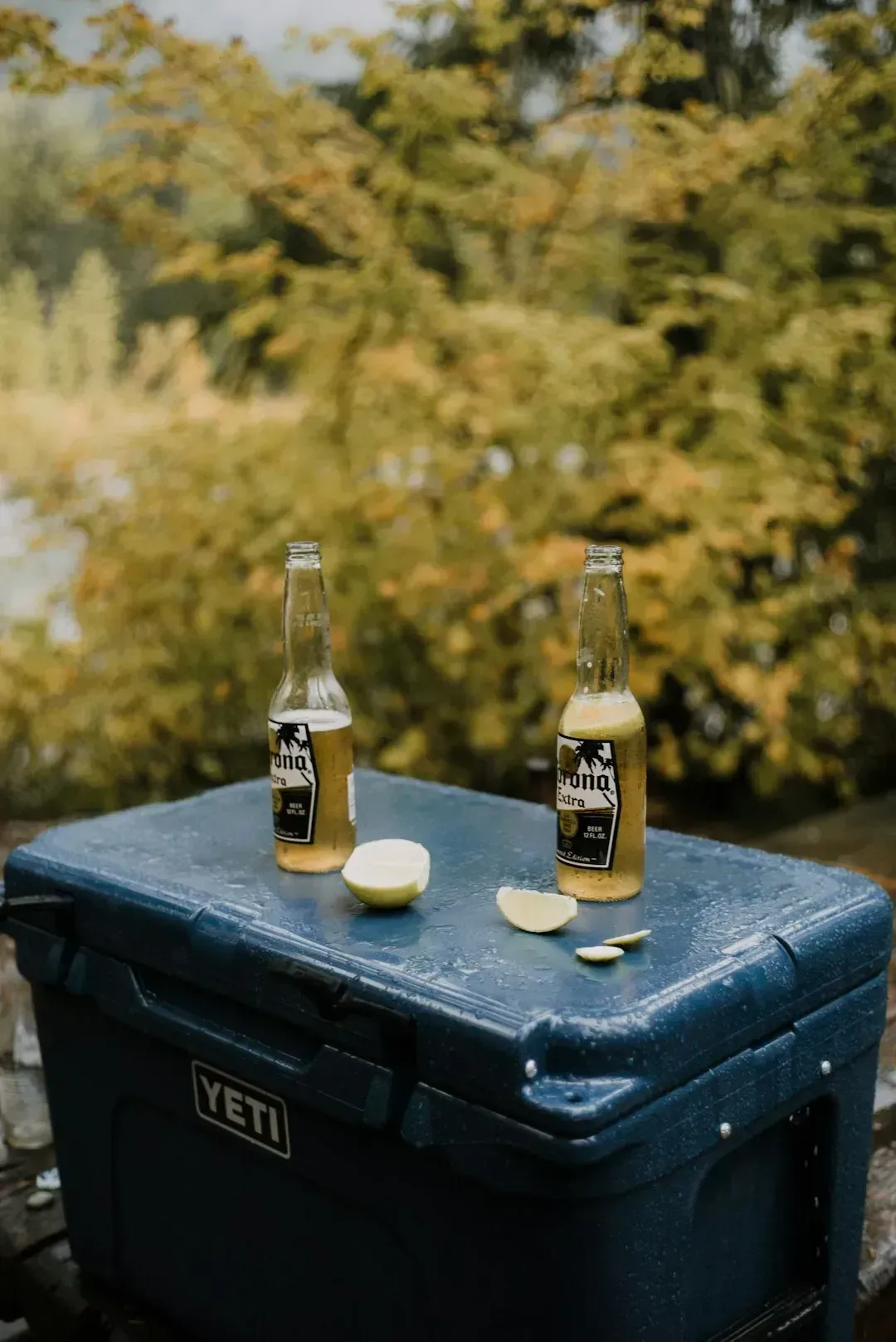 Bringing a Cooler Full of Food Instead of Stopping to Eat (Image Credits: Unsplash)