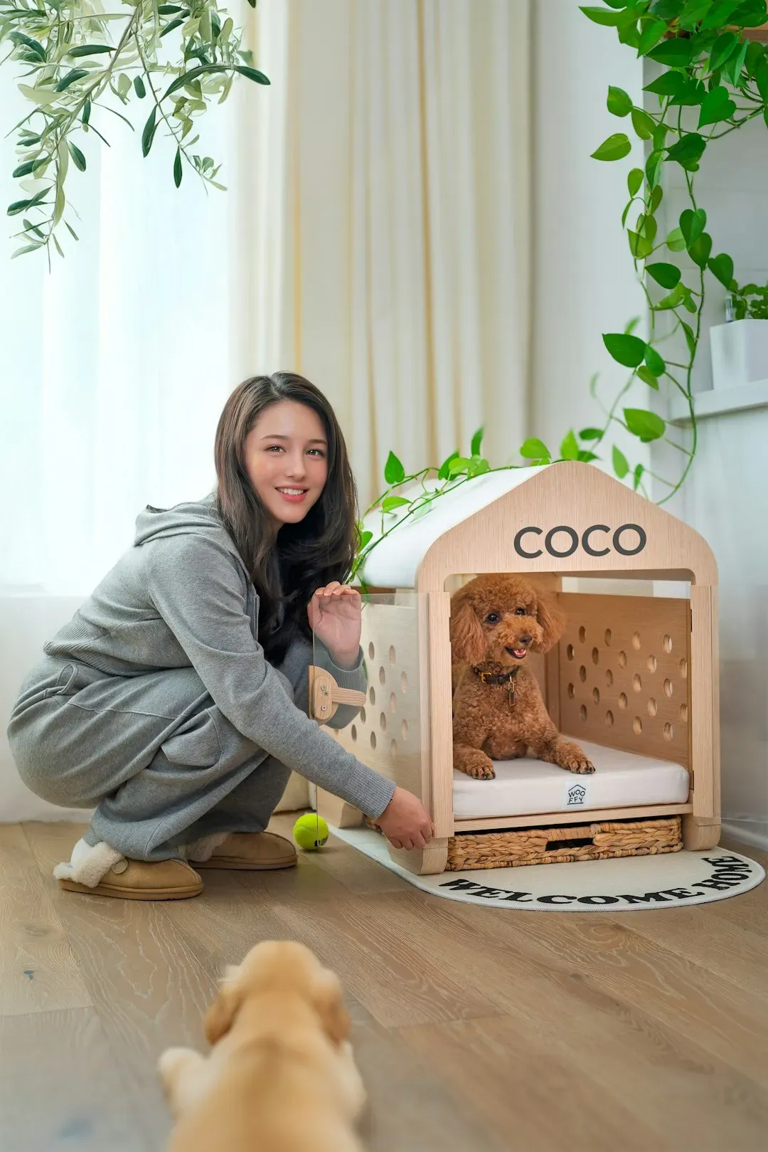 Making Sure the Pet Was Safe at Night (Image Credits: Unsplash)