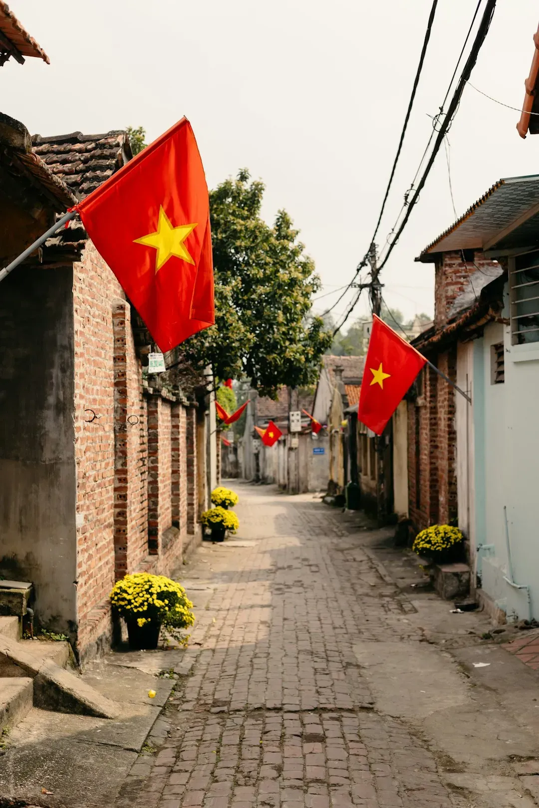 8. Vietnam (Image Credits: Unsplash)