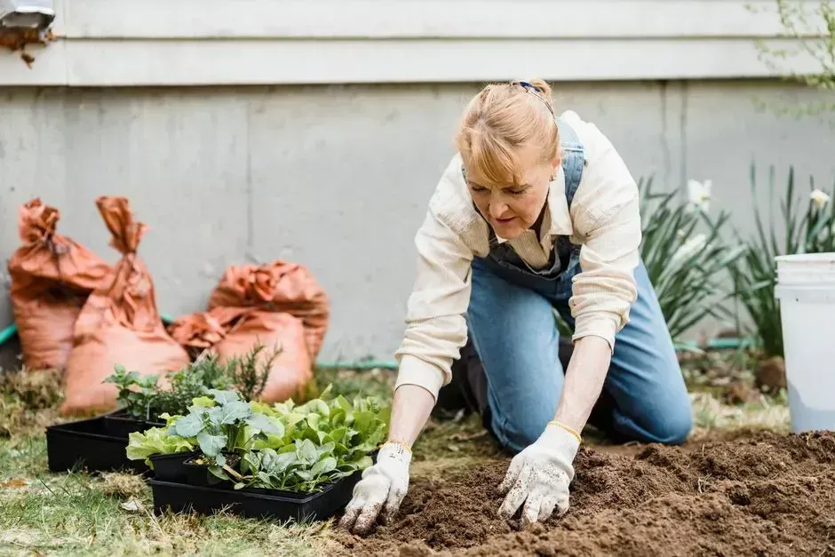 Growing a Few Vegetables and Herbs (Image Credits: Pexels)