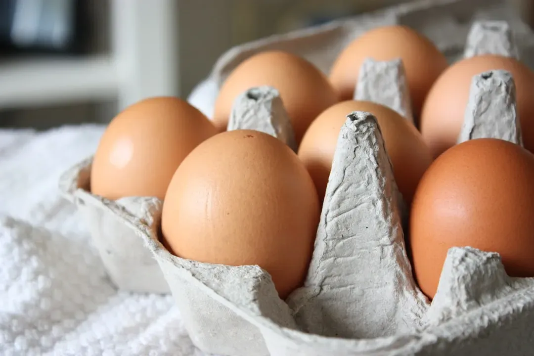 1. Eggs (Image Credits: Unsplash)