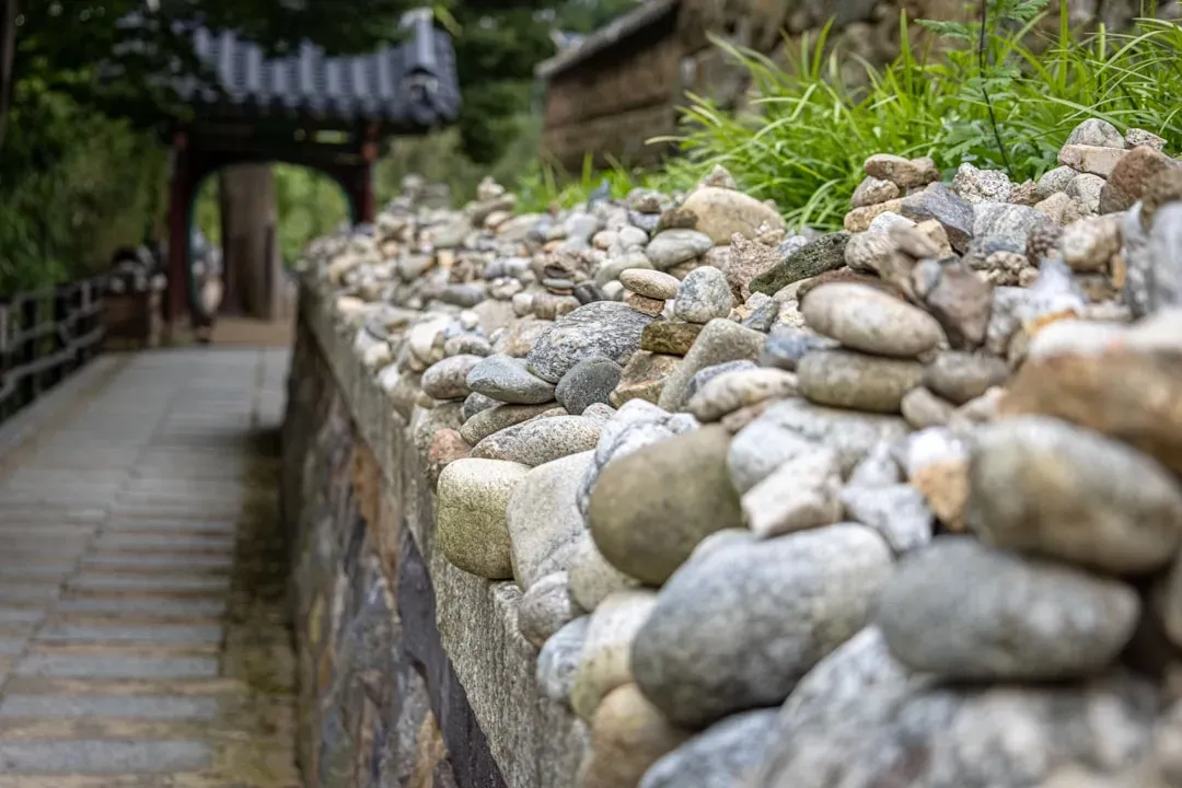 4. Piling On Too Much Hardscaping (Image Credits: Unsplash)