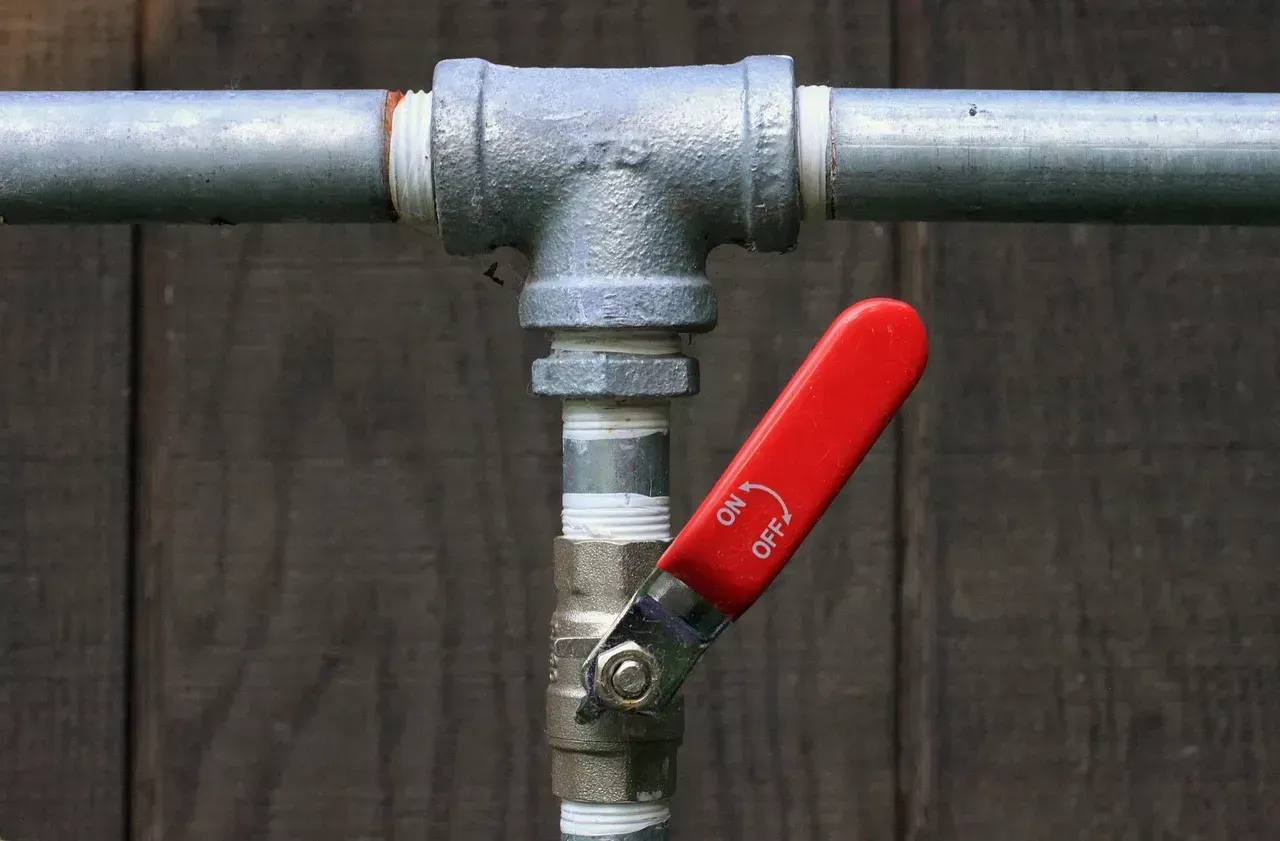 5. Plumbing leaks and aging pipe materials (Image Credits: Pixabay)