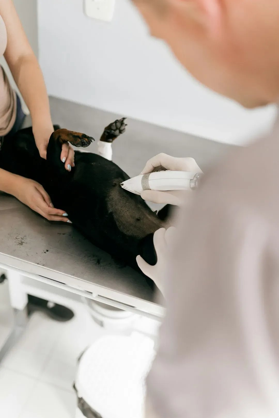 How the Scan Works (Image Credits: Unsplash)