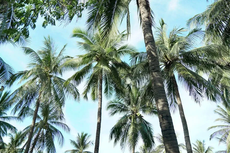 Miami's Coconut Grove, Florida (Image Credits: Pexels)
