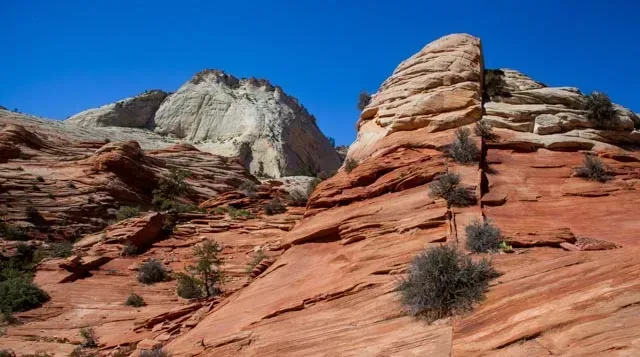 The Bigger Picture: What's Keeping Americans Away? (Lovely looking landscape in Zion National Park, CC BY 2.0)