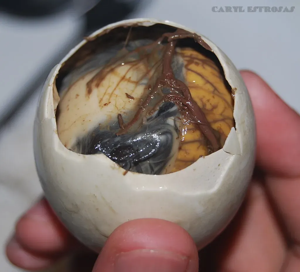 2. Balut (Fertilized Duck Egg) - Philippines (Caryl Joan Estrosas, Flickr, CC BY 2.0)