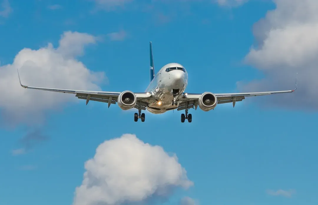 Jumping up the second the wheels touch down (Image Credits: Unsplash)