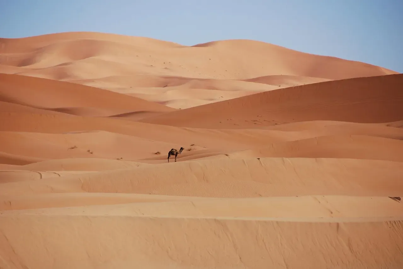 Morocco: Rounding up as an everyday habit (Image Credits: Pixabay)